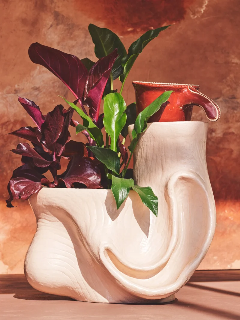 Illustration: skulpturales Pflanzenarrangement in einem Keramiktopf